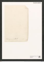 Campylodiscus browneanus var. phalangium (A. Schum.) D. (de-Toni-Nr.: Genus 57, Species 2472) Zeichnungen Sammlung Grunow (NHMW-BOT-W0373207)
